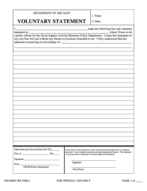 Navy Voluntary Statement Example  Form