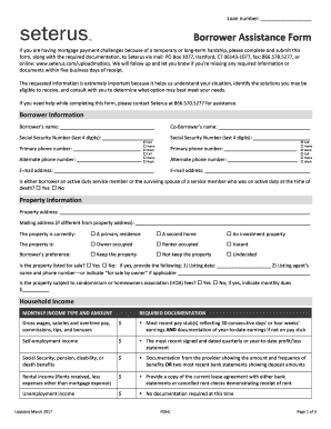  Seterus Uniform Borrower Form 2017-2024