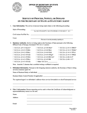 Georgia Sos State Service  Form