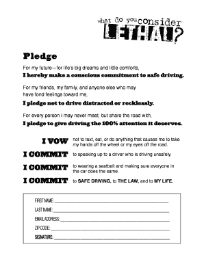 Safe Driving Pledge Form