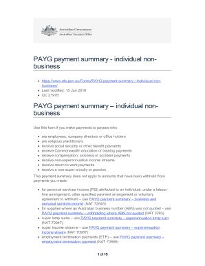 Payg Payment Summary PDF  Form