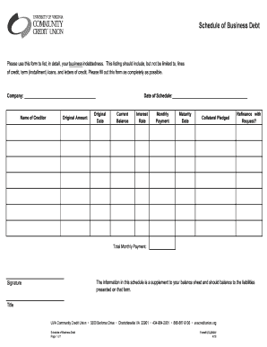 Personal Debt Schedule Template  Form