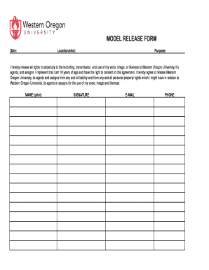 Group Model Release Form XLS