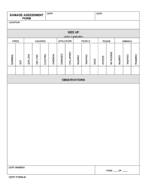 Damage Assessment Form Size Up Observations Foster City CERT