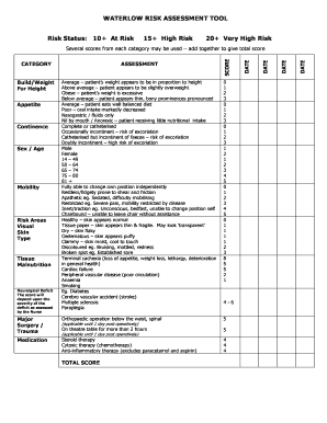 Wyn Glencross Pressure Care Article Word DOC Waterlow Form Rtf DOC