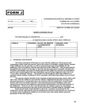 JOINT CUSTODY PLAN  Form