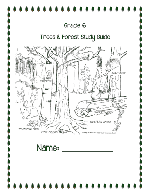 Trees and Forests Grade 6  Form
