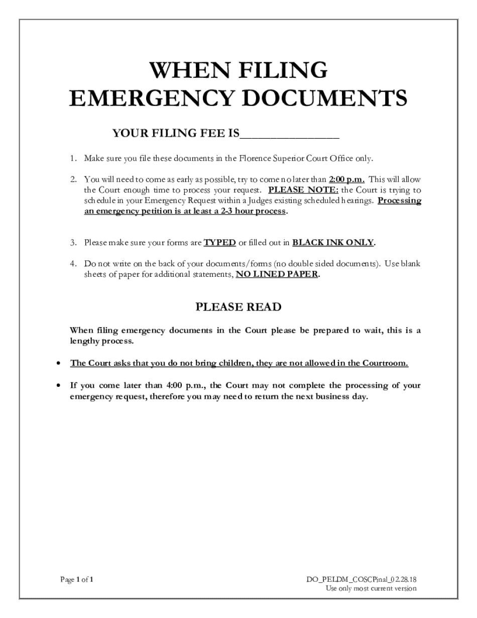  Petition for Emergency Legal Decision Making Pinal County Clerk 2018-2024