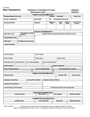 Nh Injury  Form