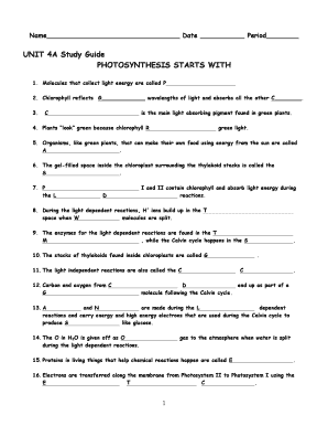Photosynthesis Review Worksheet  Form