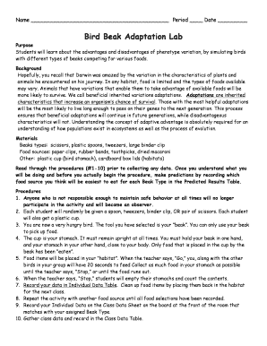 Bird Beak Lab Answer Key  Form