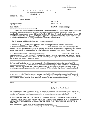  Family Fil New York State Unified Court System 2018-2024