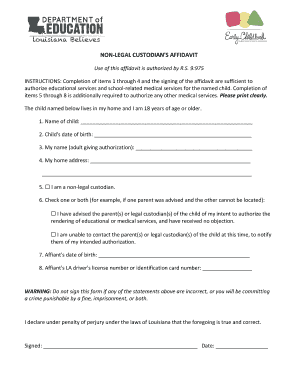 NON LEGAL CUSTODIAN'S AFFIDAVIT  Form