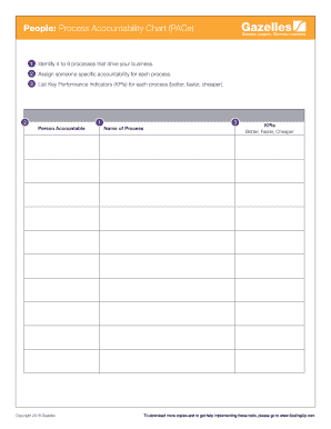 Process Accountability Chart  Form