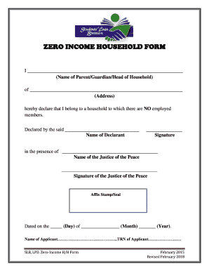  ZERO INCOME HOUSEHOLD FORM 2018-2024