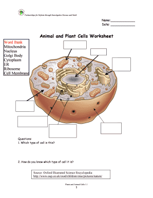 Animal and Plant Cells Worksheet PDF  Form