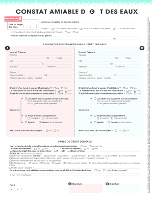 Constat Amiable Dégât Des Eaux Format Word - Fill Out and Sign Printable  PDF Template