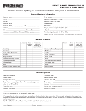 PROFIT &amp;amp; LOSS from BUSINESS SCHEDULE C DATA SHEET  Form