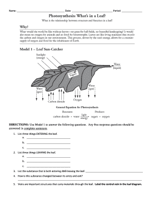 Photosynthesis Pogil Answer Key PDF  Form