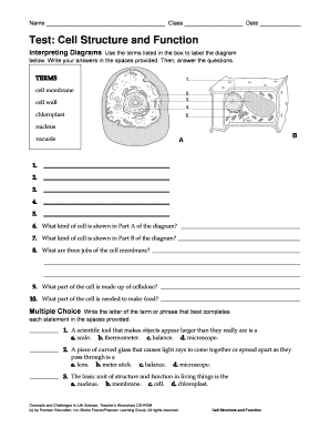 Test Cell Structure Function  Form