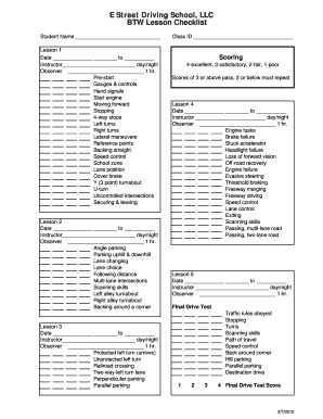 Driving Lesson Checklist PDF  Form