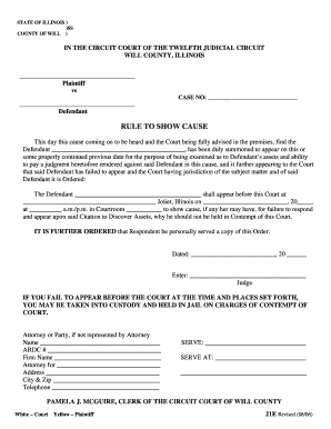 Court Illinois  Form