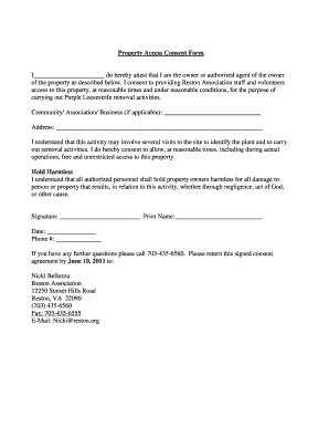 Property Consent Form