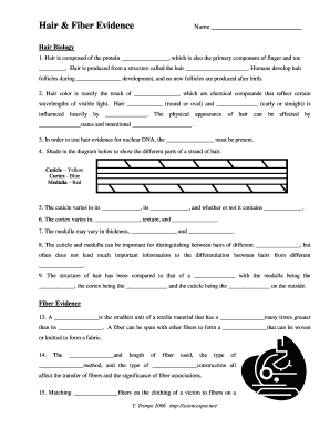 Hair and Fiber Evidence Worksheet  Form