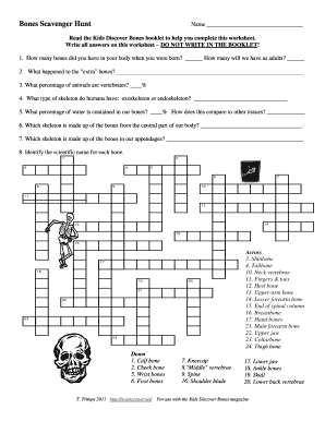 Bones Scavenger Hunt Answer Key  Form