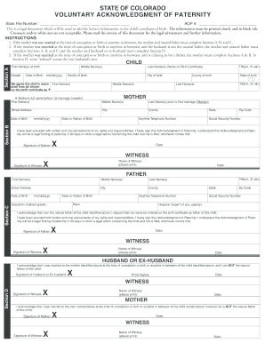 Get and Sign Colorado Paternity  Form