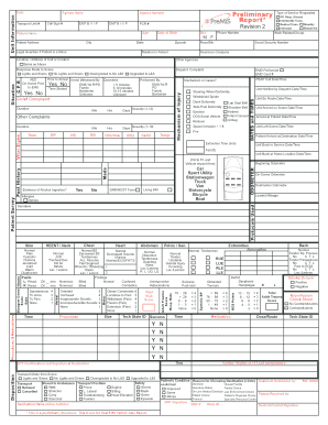 PreMIS Preliminary Report Form 394 Kb PDF Ncems