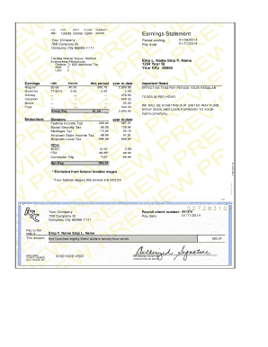 ModernPaystub2 Pay Check Stub Online  Form