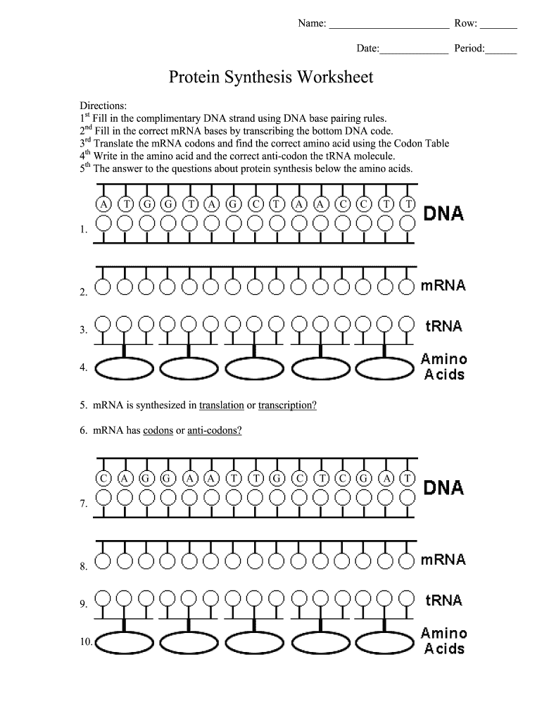 transcription-translation-practice-worksheet