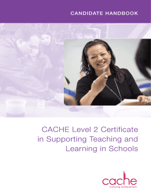 Supporting Teaching and Learning in Schools Level 2 Book PDF  Form
