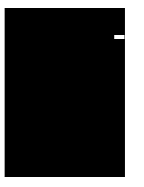 Statement of Self Employment Income Lone Star Circle of Care  Form