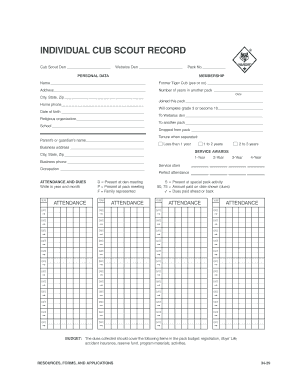 Scout Record PDF  Form