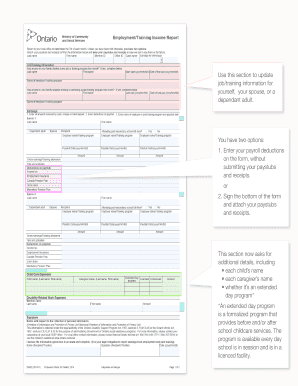 Odsp Income Report Online  Form