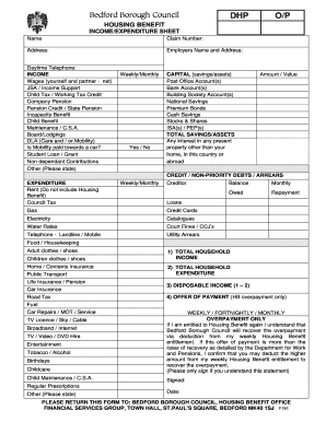 INCOMEEXPENDITURE FORM