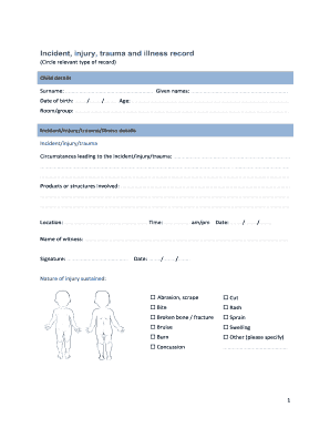 Incident Injury Trauma and Illness Record Example  Form