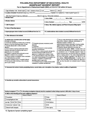 Mental Health Incident Report Template  Form