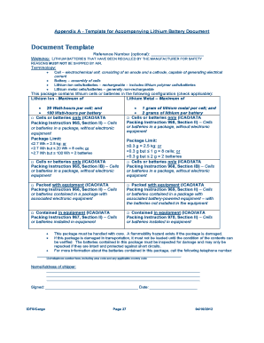 Appendix a Template for Accompanying Lithium Battery Document  Form