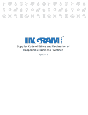  WHY INGRAM MICRO 2018-2024