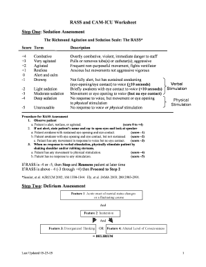 Rass and Cam Icu Worksheet  Form