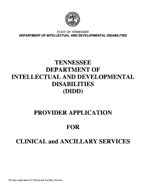 Provider Application for Clinical and Ancillary Services TN Gov  Form