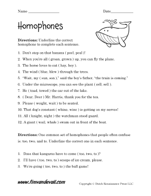 Homophones Worksheet  Form