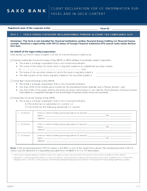  Client Declaration for Us Information Purposes English 2017-2024