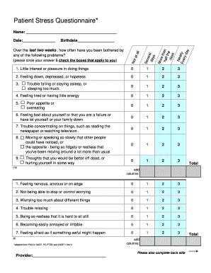 Stress Questionnaire for Students PDF  Form