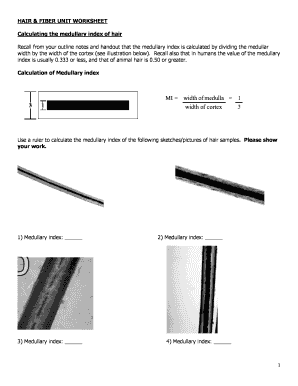 Hair and Fiber Unit Worksheet Answers  Form