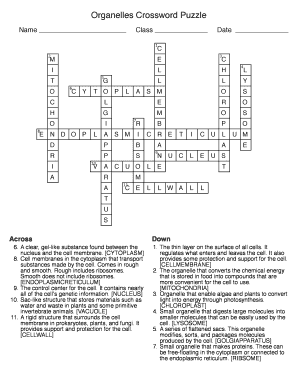 Cell Organelles Crossword Puzzle PDF  Form