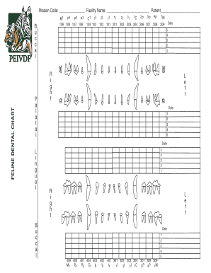 Cat Dental Chart  Form